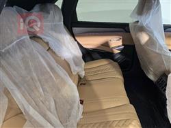 بي واي دي سونغ L DM-i